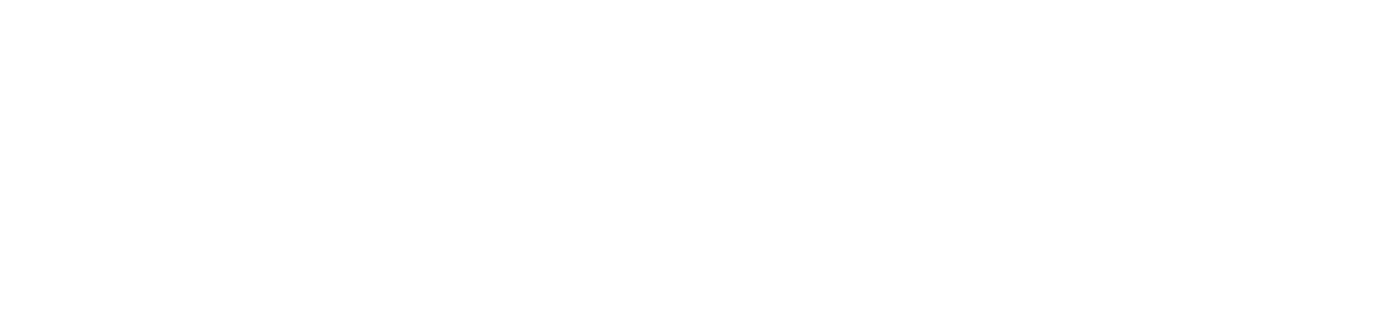 LOGO_FSD_V2_BLANC